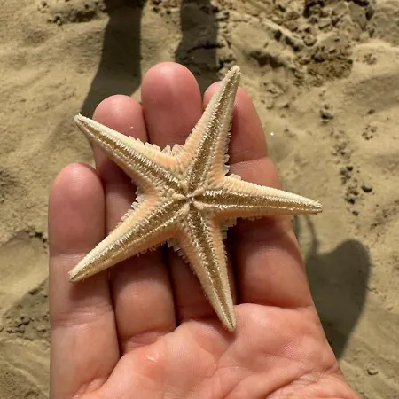 Vakantiehuis Stella Maris Marina Centro *