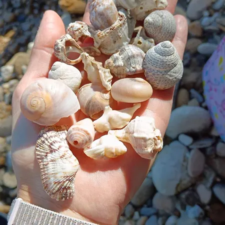 Stella Maris Marina Centro Vakantiehuis *