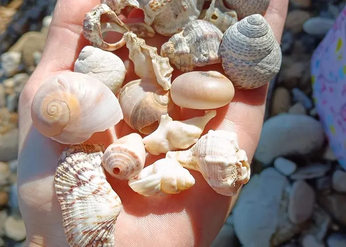 Stella Maris Marina Centro Semesterbostad *